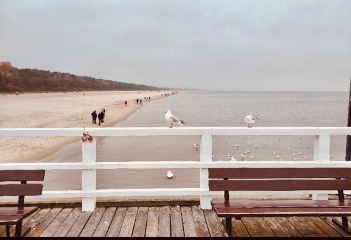 Apetyt Na Gdansk Apartament Z Prywatna Sauna Exteriér fotografie